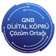 QNB 260247 Dk Badge V01 Renkli 80X80